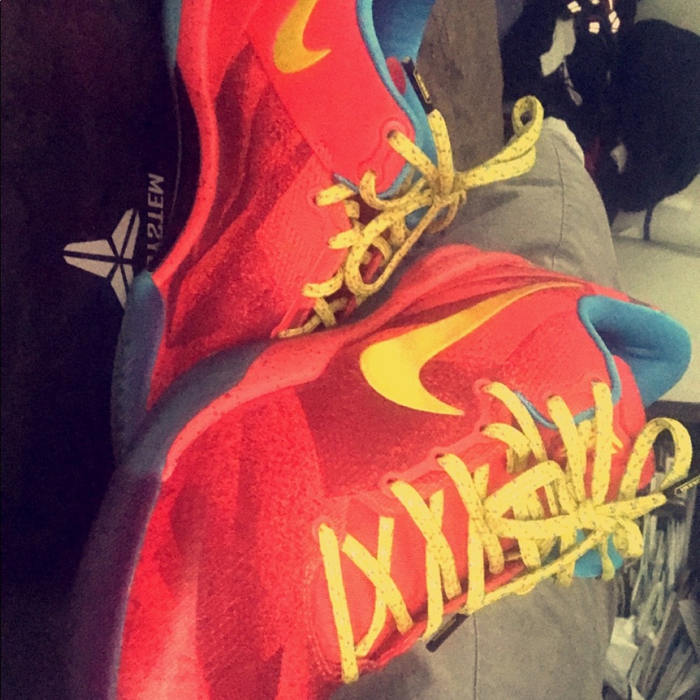 Kobe year of the horse